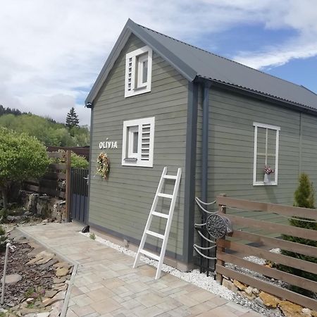 Tiny House Olivia Apartment Liptovsky Hradok Ngoại thất bức ảnh